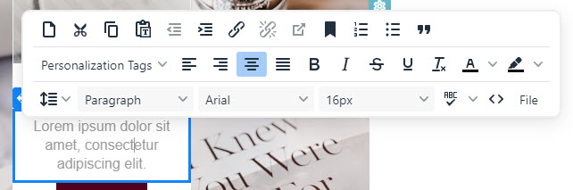 The text toolbar